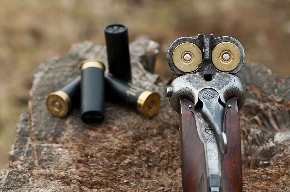 Rifle gun with ammo for hunting day